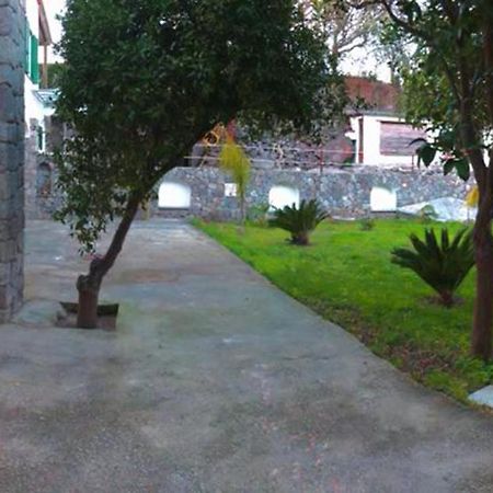 B&B Carpe Diem Domus Ischia Exterior photo